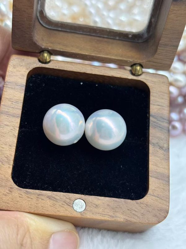 classic Simplicity earrings